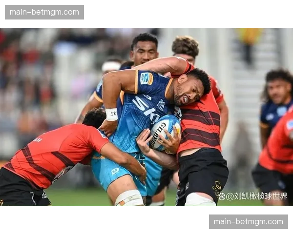 超级橄榄球太平洋联赛开幕,十字军与蓝马队的强强对话预测 超级橄榄球太平洋联赛开幕,十字军与蓝马队的强强对话预测