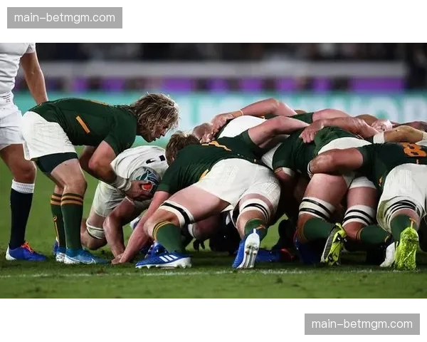 都柏林宣布将申办2031年橄榄球世界杯决赛，可行性研究已启动