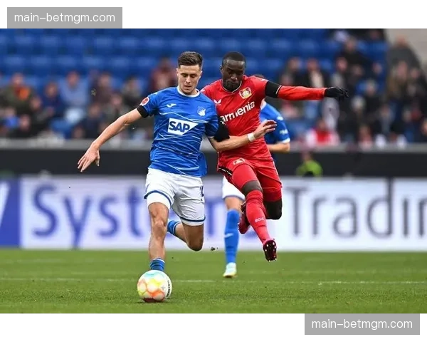 霍芬海姆客场连扳两球，2-2逼平奥格斯堡